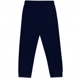 Брюки 1821100105 