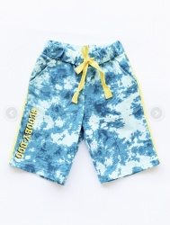 0018_ЛС22 Шорты д/м мультиколор