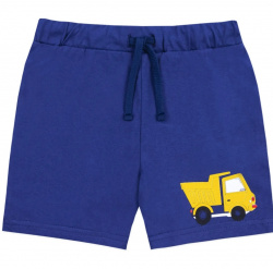 Шорты 0613101408 