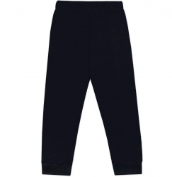 Брюки 1821100104